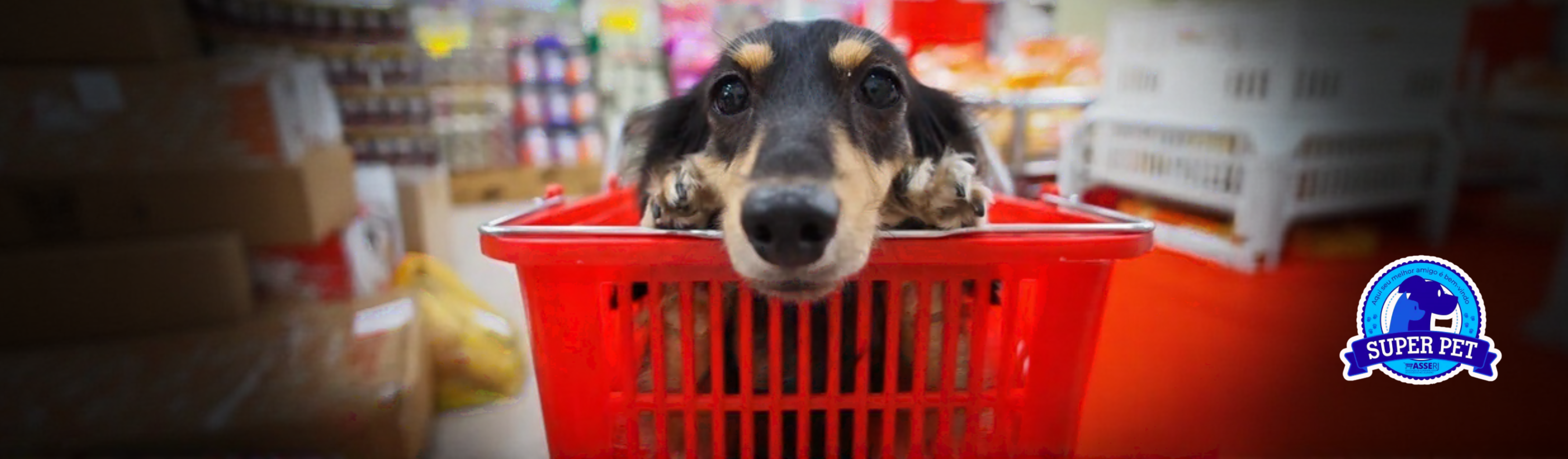 Imagem de header interno