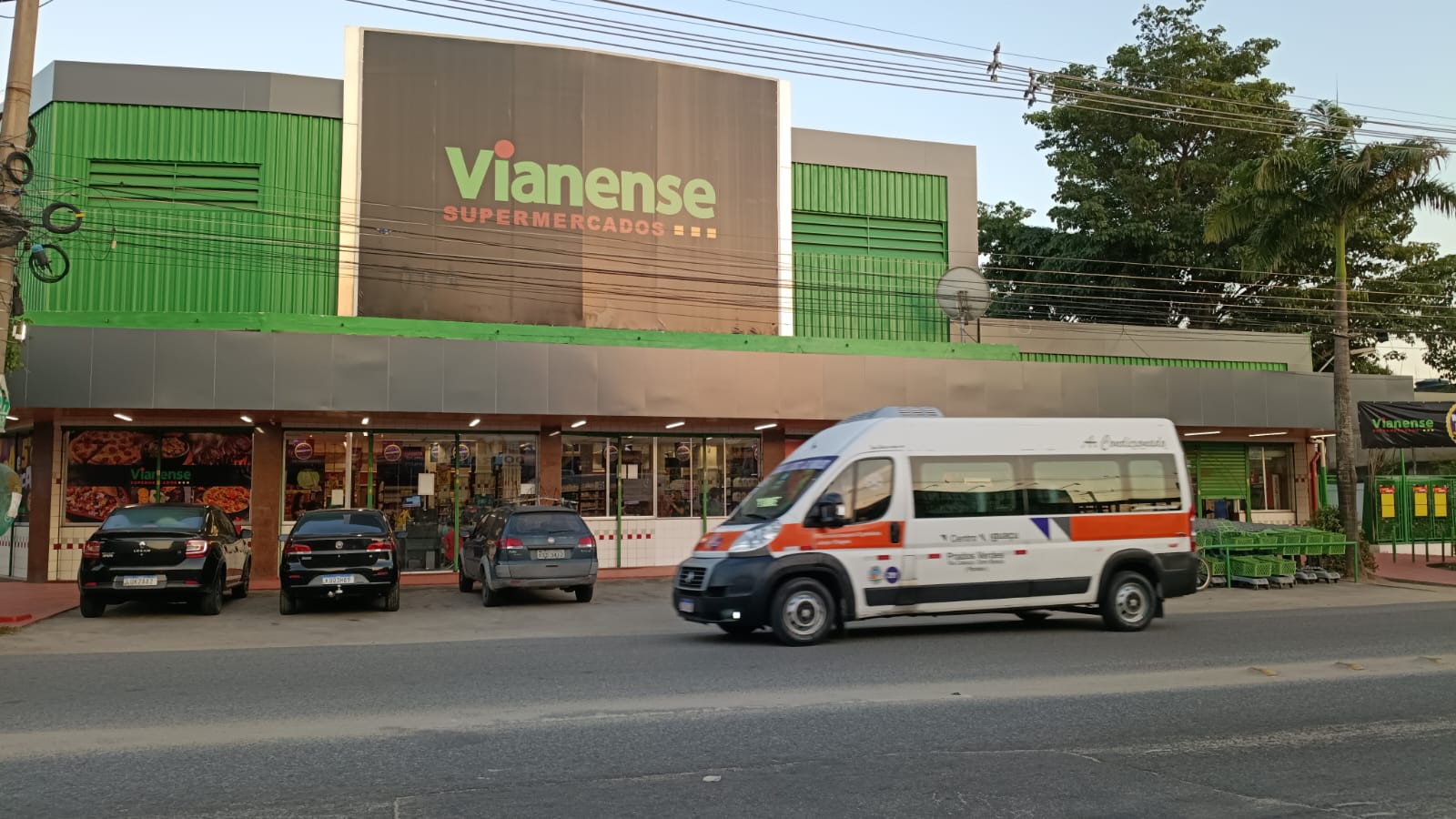 Vianense