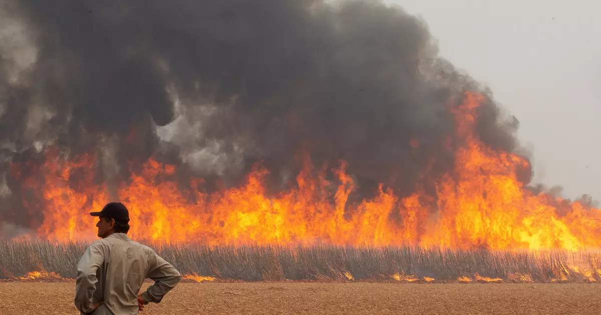 Queimadas em São Paulo podem afetar o varejo? Entenda