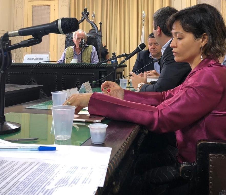 ASSERJ participa de audiência pública sobre os critérios para adequação e cumprimento da lei de substituição das sacolas plásticas no Estado do Rio de Janeiro