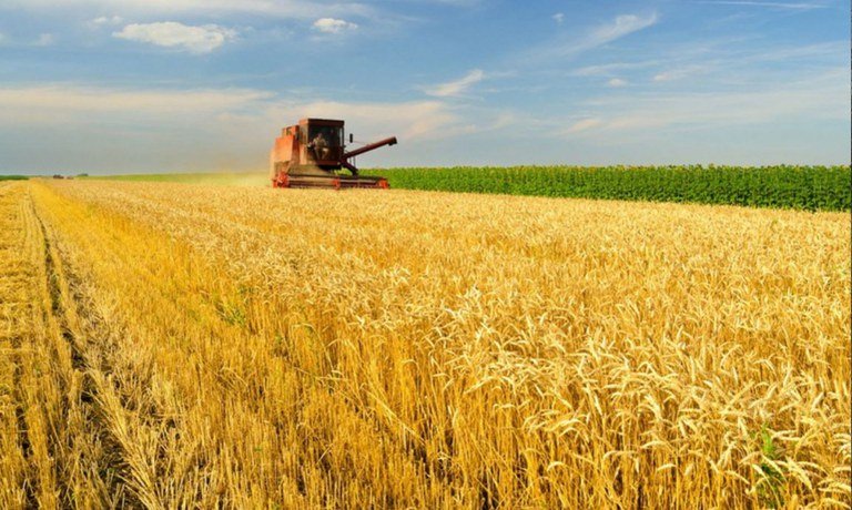 Agro impulsionado, supermercados mais lotados! Liberado crédito do Plano Safra!