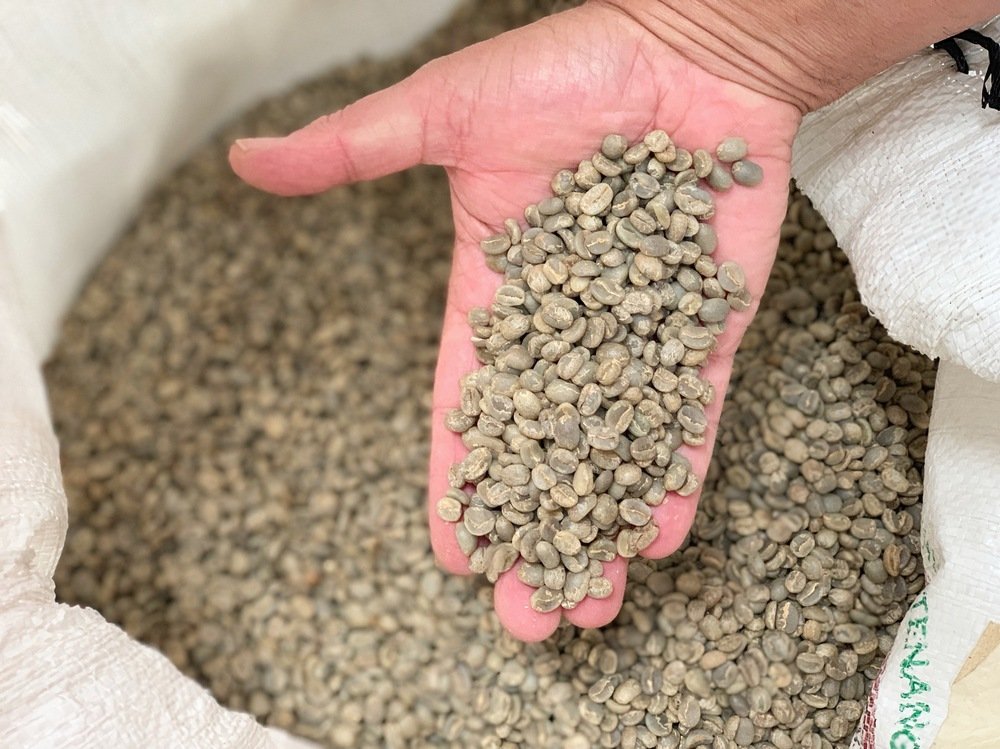 Café impróprio: confira novos lotes divulgados e marcas pelo Governo Federal