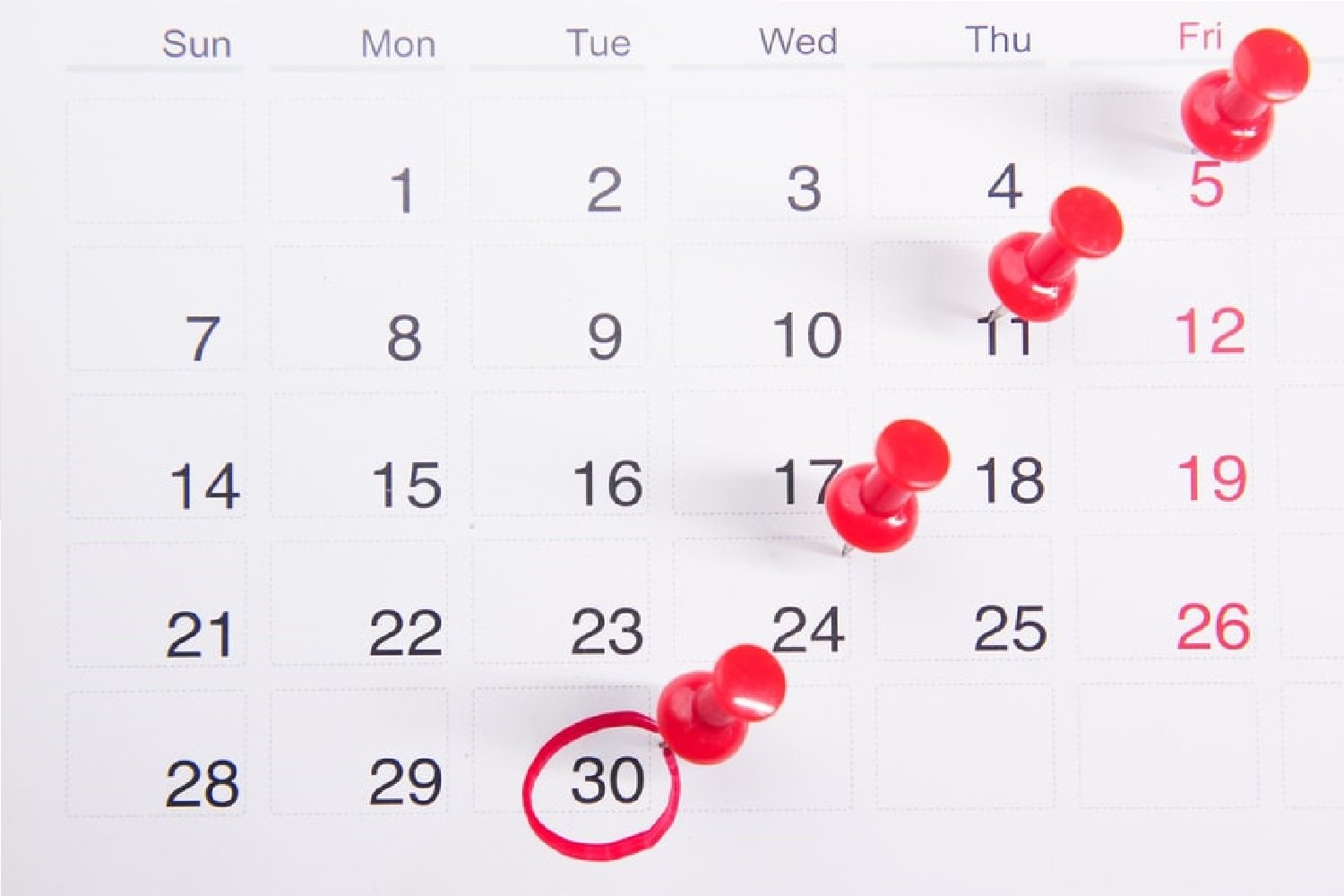 Revista Super Negócios | Calendário Lucrativo