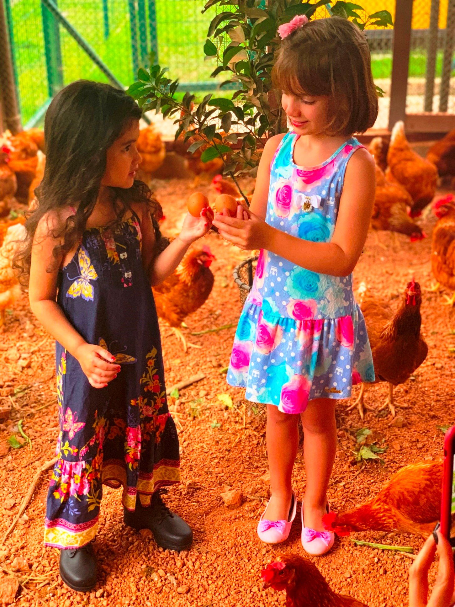 Mantiqueira e Zona Sul lançam experiência gratuita de 'Fazendinha' na Barra
