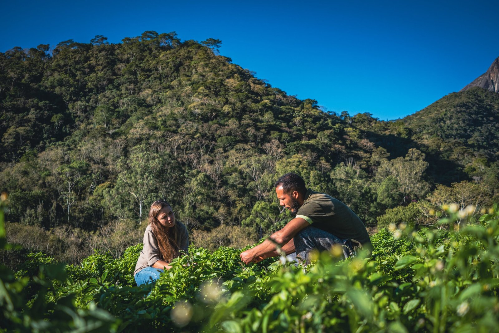 Dia do Campo: na contramão do desperdício, toneladas de alimento são salvas em iniciativas sustentáveis