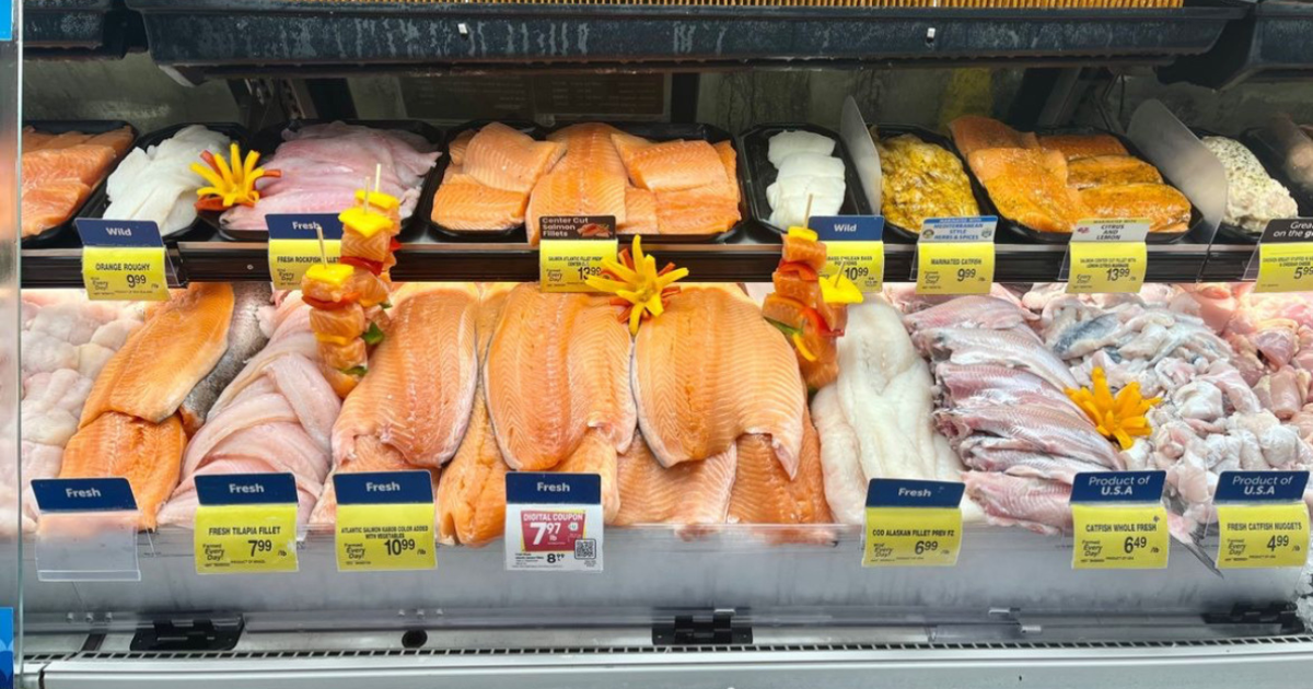 Supermercado está pra peixe? Veja como melhorar as vendas e reduzir prejuízos da sua peixaria