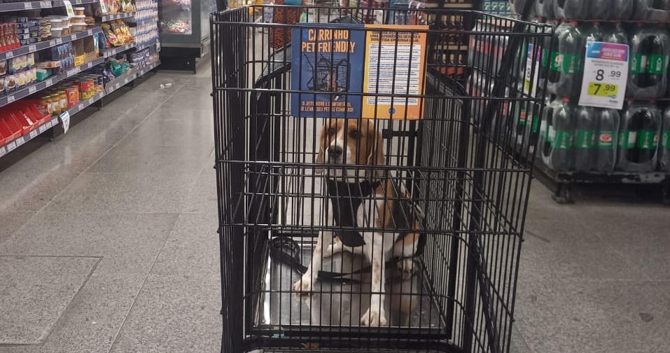 Como montar a melhor seção pet no supermercado e lucrar mais