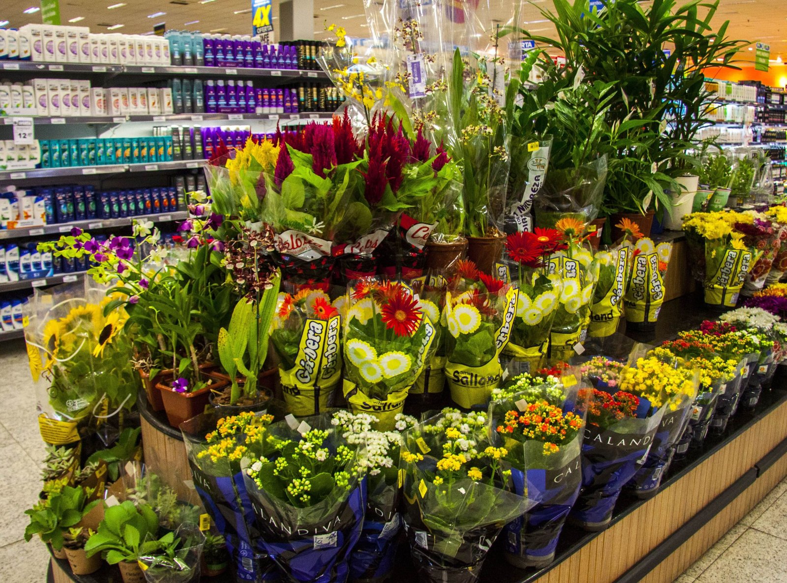 Mães ganharão flores do Prezunic, mesmo sem sair de casa