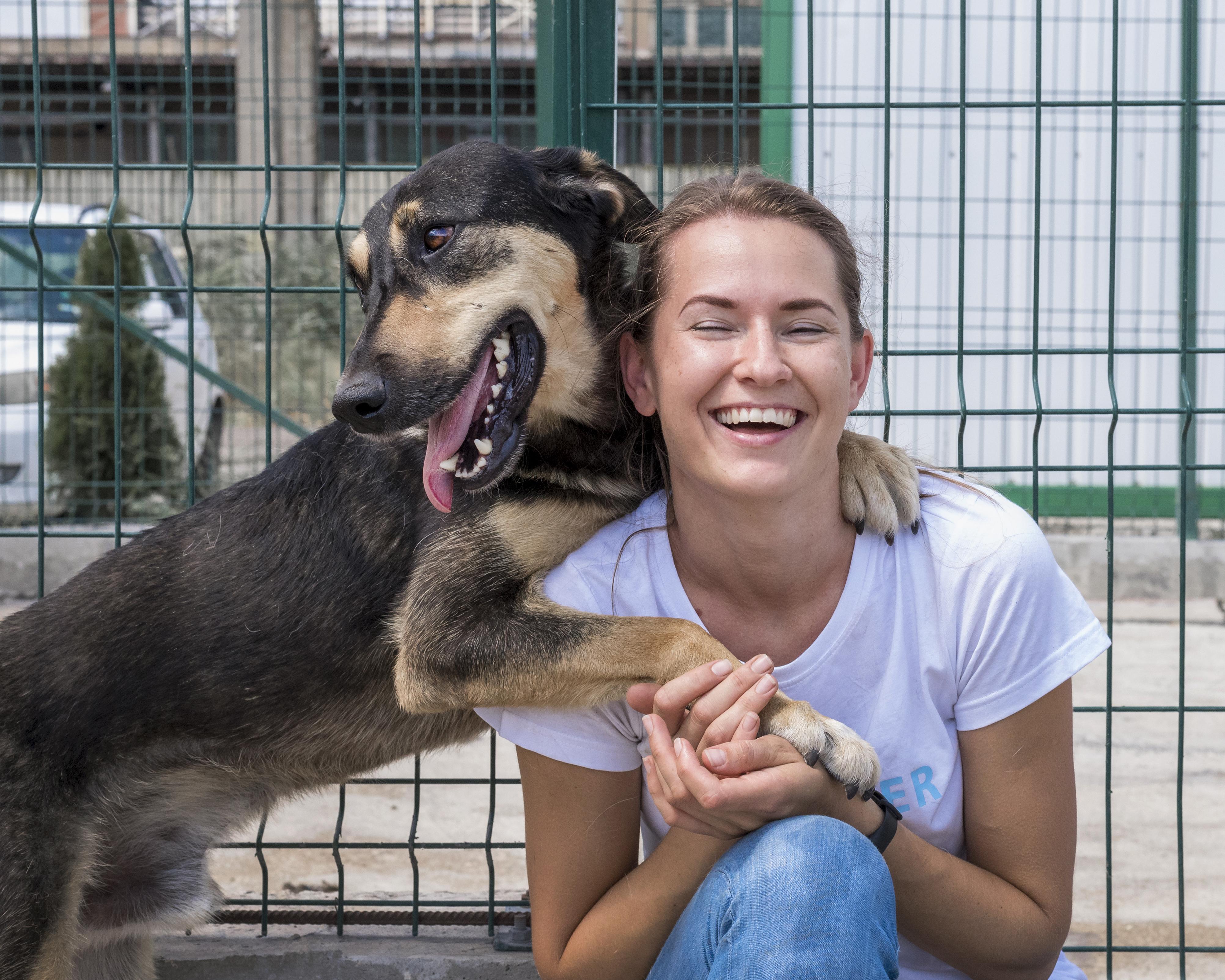 Campanha visa ampliar a conscientização e reduzir o abandono de animais
