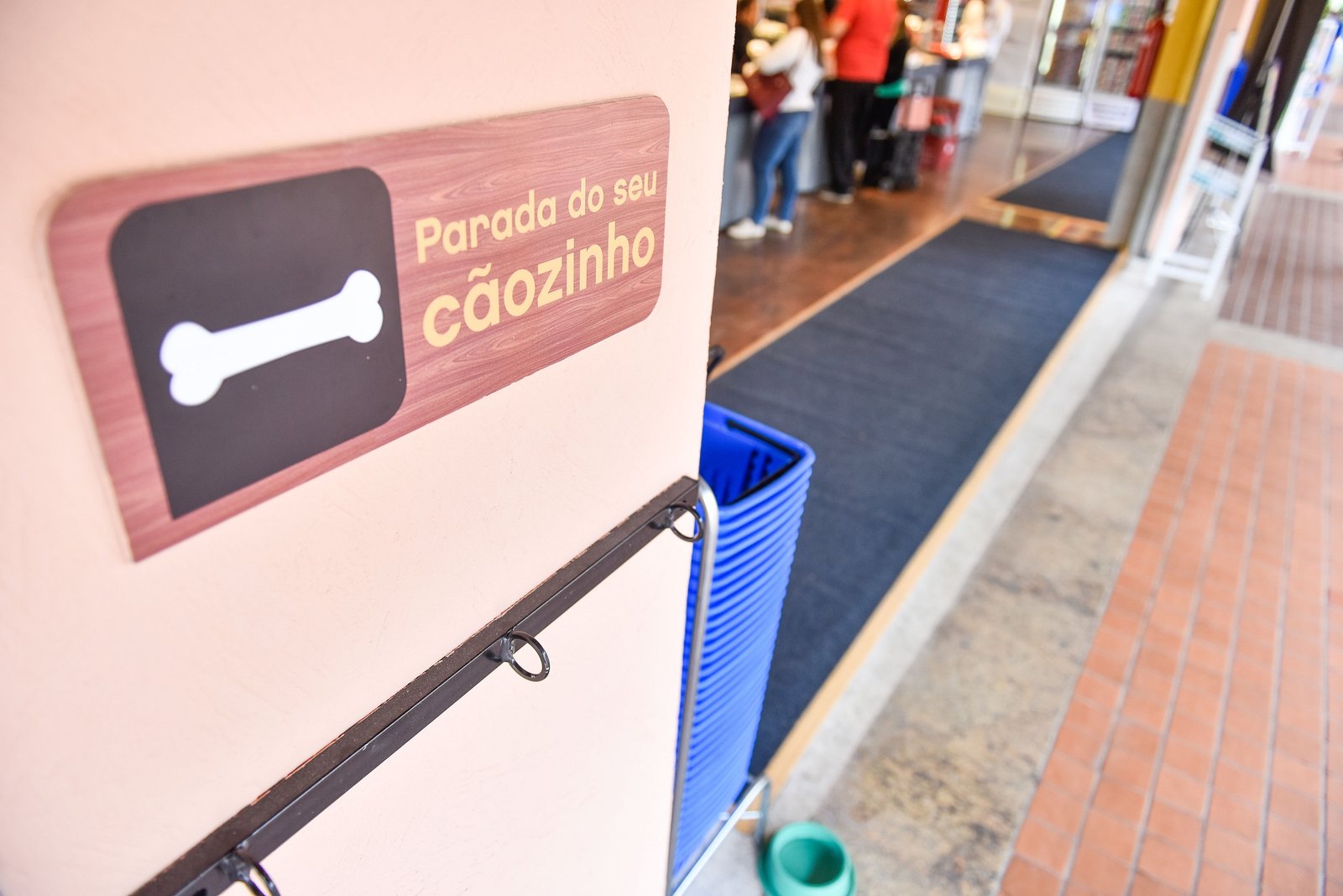 Dia dos animais: SuperPrix permite a presença dos cãezinhos